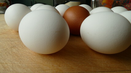 white chicken eggs and one brown egg