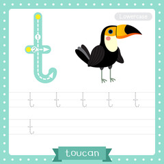 Letter T lowercase tracing practice worksheet of Standing Toucan bird