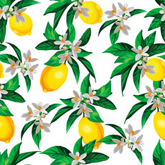 Obraz premium Seamless citrus vector pattern on white background. Hand drawn illustration with lemons. Tropical fruit wallpaper.