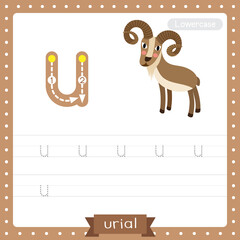 Letter U lowercase tracing practice worksheet of Urial