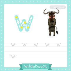 Letter W lowercase tracing practice worksheet of Wildebeest