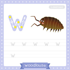 Letter W lowercase tracing practice worksheet of Woodlouse