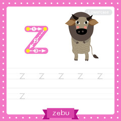 Letter Z lowercase tracing practice worksheet of Zebu