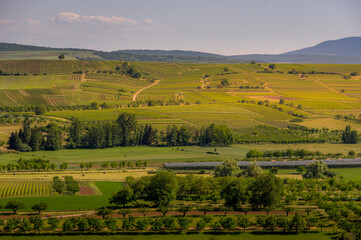 Fototapeta premium Wiejski krajobraz o zachodzie słońca