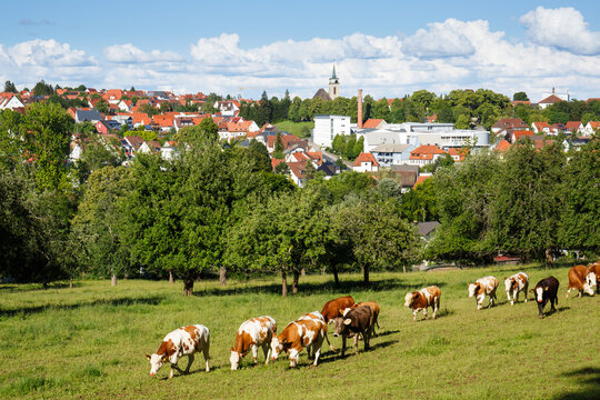 Ausblick auf die Hochalbgemeinde Bitz auf der Schw&auml;bischen Alb
