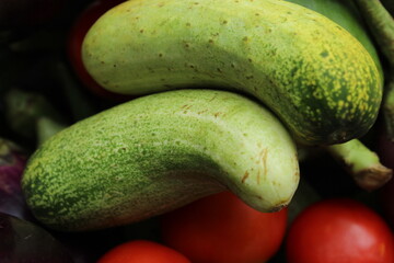 Green cucumber display with selective focus and fresh various raw organic vegetables for healthy and diet background.