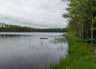 summer landscape with a lake shore, Latvia