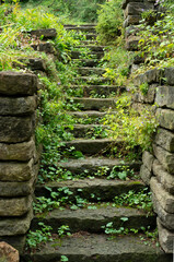 Stone stairs with overgrowth of plants and moss