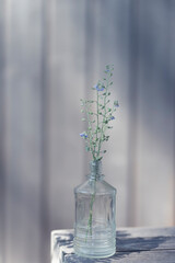 still life with glass tiny bottle and field flowers in moody violet colours front view