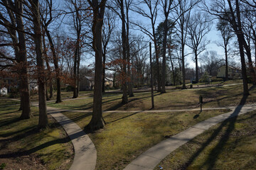 Obraz premium アメリカの郊外住宅地：グリーンベルトの街並み