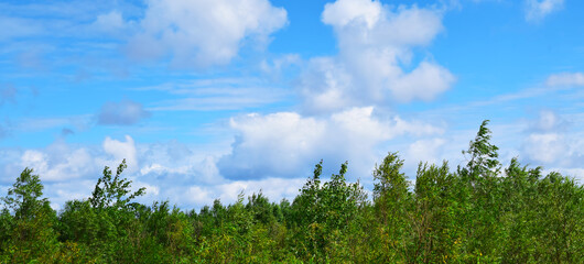 Green forest and blue sky with clouds, panorama. Summer landscape