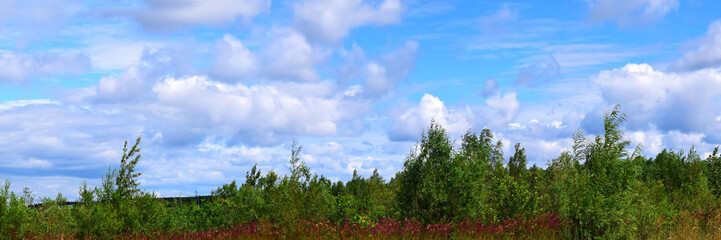 Green forest and blue sky with clouds, panorama. Summer landscape