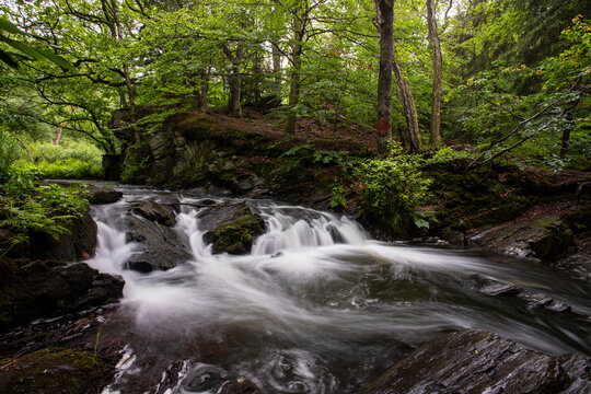 Selkefall, Harz, Germany