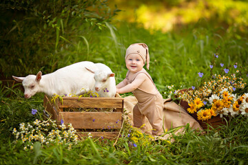 Portrait of a cute happy boy of 10-12 months in a gnome costume with white goats in spring on...