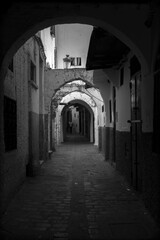Fototapeta premium Tetouan in Northern Morocco with Rif Mountains in the background 