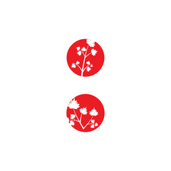 Maple leaf vector illustration