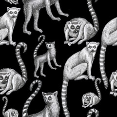 lemurs pattern drawing silhouette tropical animals isolate object black backgroun