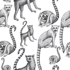lemurs pattern drawing silhouette tropical animals isolate object white backgroun