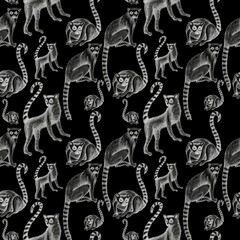 lemurs pattern drawing silhouette tropical animals isolate object black backgroun