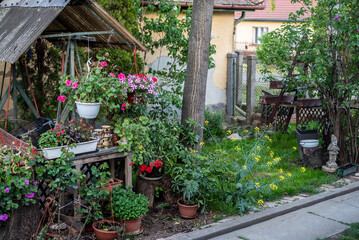 Fototapeta na wymiar European countryside garden with pavilion and flowers