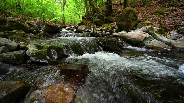 Low angle video with a fast flowing mountain stream in the spring forest