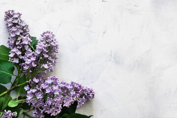 bouquet of lilac