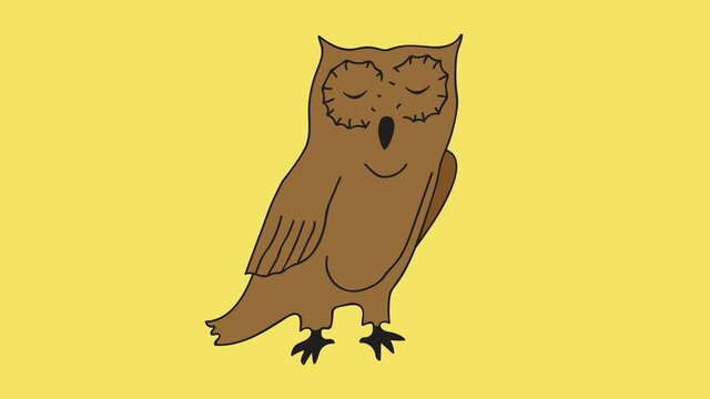 Footage cartoon animation of funny hand drawn brown owl blinking with wide open eyes on chroma key yellow background. Motion design element for animation for school education nature concept