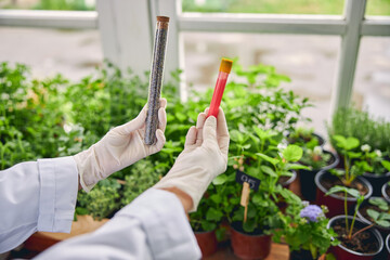 Botanist in gloves working in a laboratory