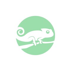 cute baby reptile chameleon as a pet vector illustration design