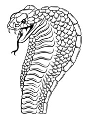Illustration of a cobra. Head of a poisonous snake with open mouth. Reptile. The emblem of the sports team. Tattoo.