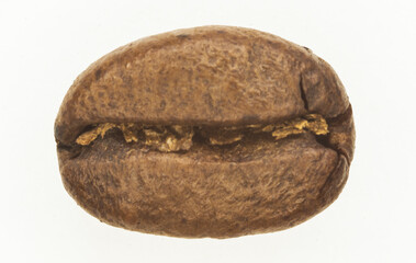 Obraz premium A coffee bean close up with white background.