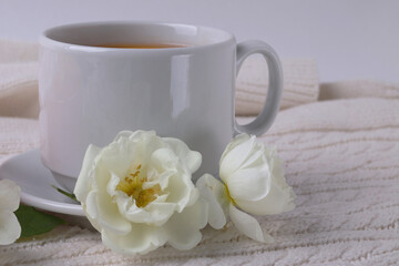 vintage romantic style background and tea cup