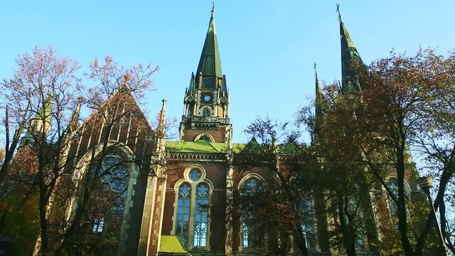 pigeons fly above old catholic cathedral church of st. Olga and Elizabeth in Lviv, Ukraine