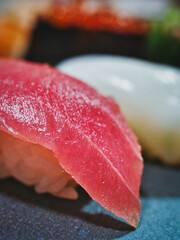 Traditional Japanese fresh colorful sushis