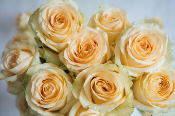 yellow rose bouquet 