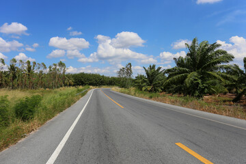 Fototapeta premium Rural road with trees on both sides during.