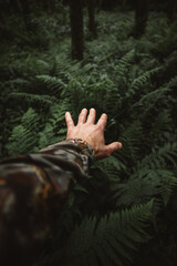 Survivor man hands touching the green fern plants in the wilderness forest in a rainy day.