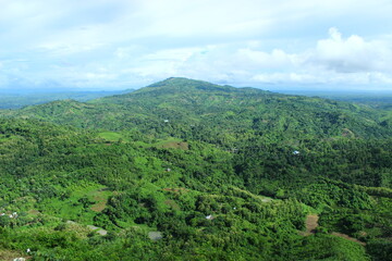 Fototapeta na wymiar mountain landscape with trees