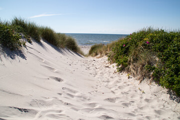 Dünen auf Hiddensee