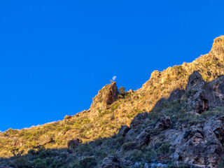 Fototapeta premium Lucainena river crossing the canyon