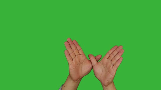 Footage real time hands of asian man gesture like a bird or butterfly flying isolated on chroma key green screen background.
