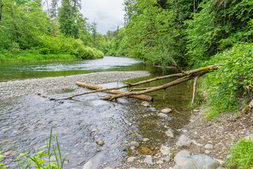 Obraz premium Northwest Green River Landscape