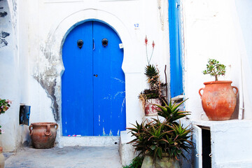 Fototapeta na wymiar Traditional Tunisian blue doors of Sidi-Bou-Said