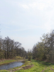 Landscapes of the Ankeveense plassen, The Netherlands