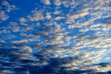 Fototapeta na wymiar Blue evening sky with small clouds in the rays of the sun