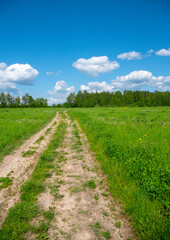 Fototapeta na wymiar A dirt road leading into fields under a blue cloudy sky.