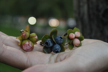 rings with berries and flowers from cold porcelain. Photo of realistic handmade jewelry. hairpin with leaves and berries made of polymer clay. demonstration of jewelry on the hand.