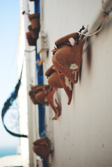 tunisian old town Sidi-Bou-Said