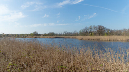 The Ankeveense plassen