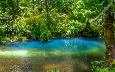 Rio Celeste with turquoise, blue water. Connection of two rivers and chemical reaction, water become blue - turquoise. Tenorio national park Costa Rica. Central America.